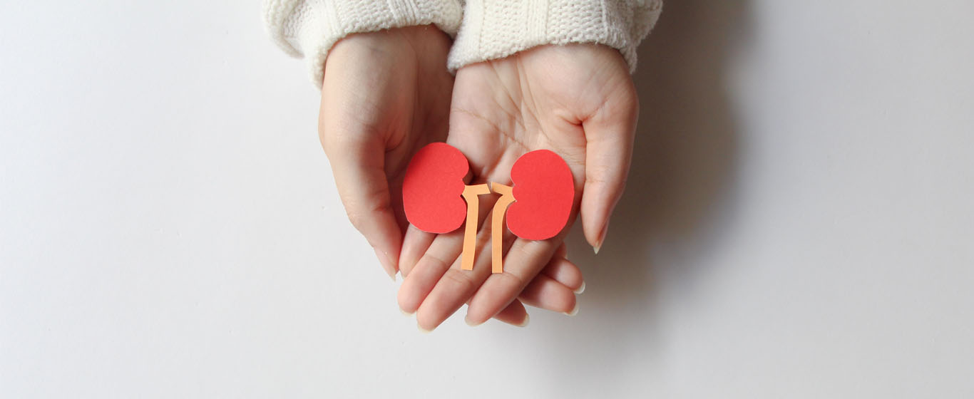 Desktop Image – Alt text *